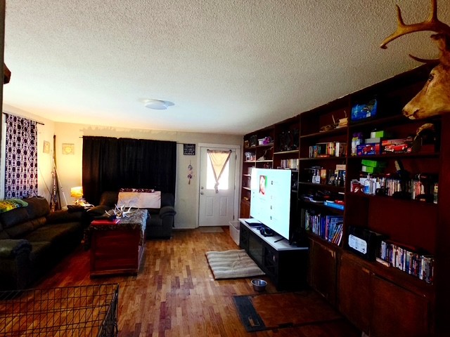 178 South West Street Decaturville, TN 38329 - Photo 7 of 11