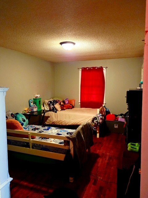 178 South West Street Decaturville, TN 38329 - Photo 8 of 11