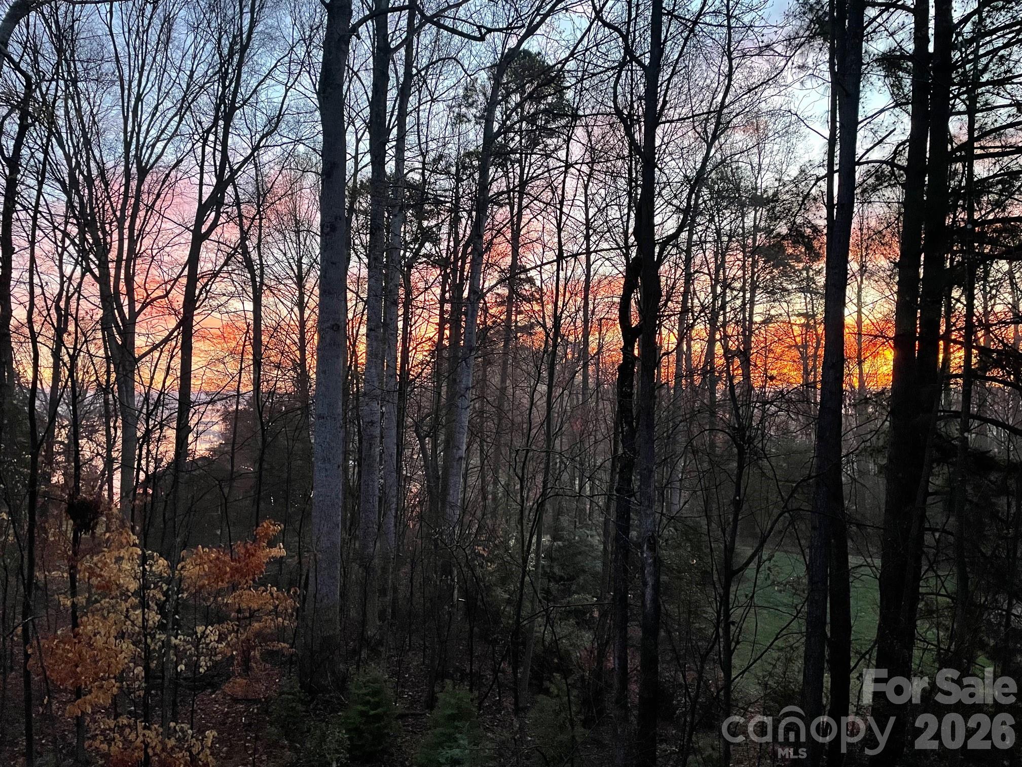 2866 Backwoods Trail Denver, NC 28037 - Photo 41 of 42