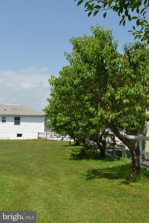 40 Ayers Drive Rising Sun, MD 21911 - Photo 26 of 30 Lots of Fruit Trees