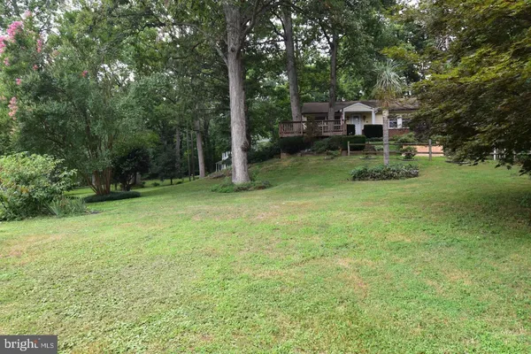 a view of a garden with large trees