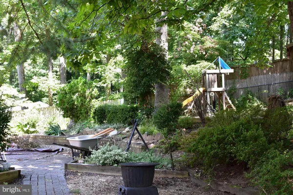 a view of a tree in a yard