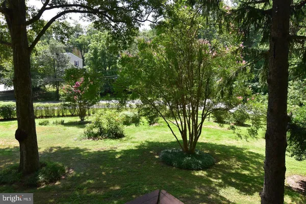 a view of yard