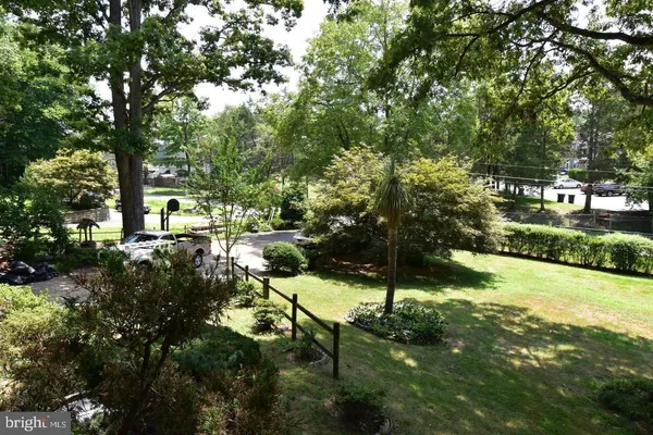 a view of a park that has large trees