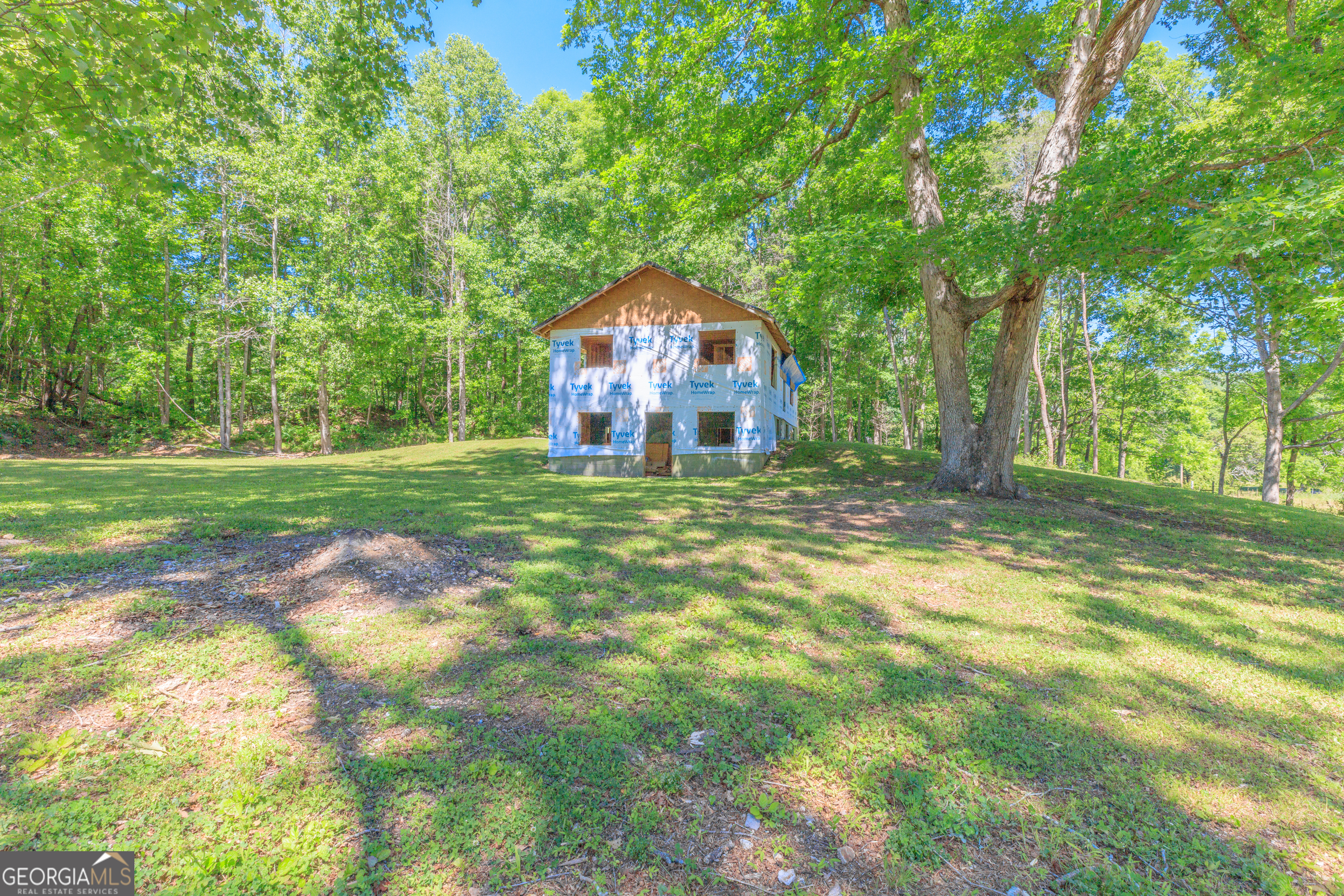 1004 Crow Gap Road Chickamauga, GA 30707 - Photo 1 of 36 a large tree in the middle of a yard