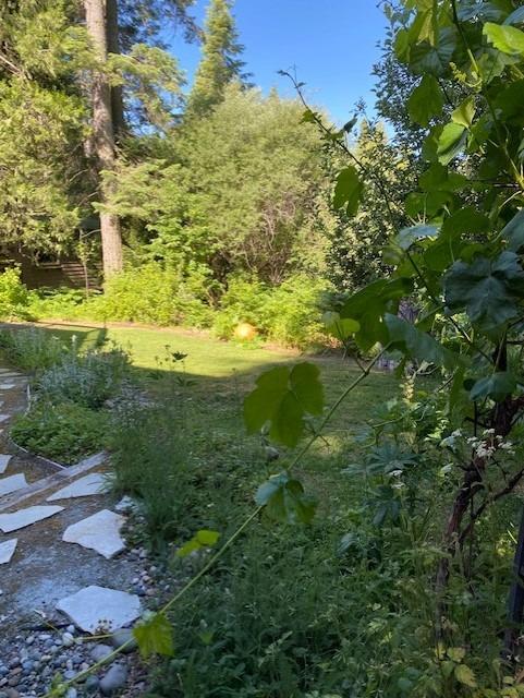 39601 Little Ridge Road Shaver Lake, CA 93664 - Photo 12 of 14