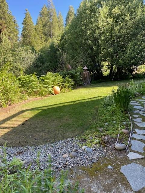 39601 Little Ridge Road Shaver Lake, CA 93664 - Photo 13 of 14