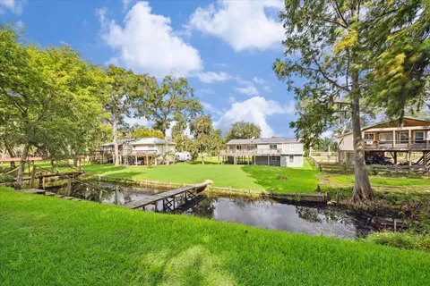 a view of a park with large trees