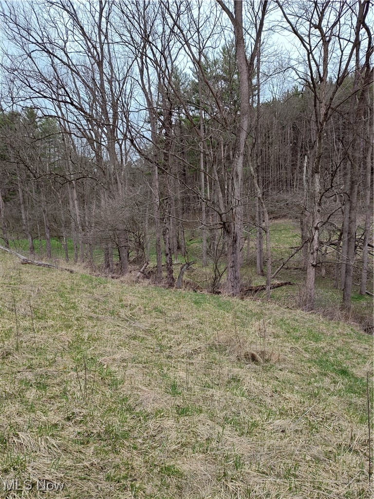 Fargo Road Southwest Mineral City, OH 44656 - Photo 6 of 21