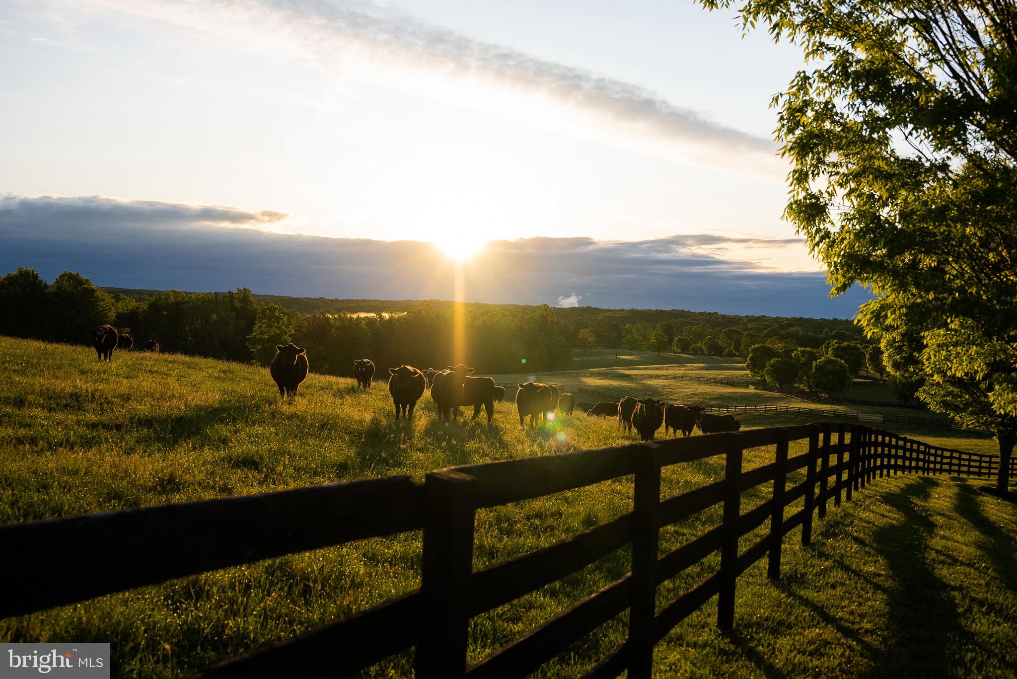 6887 Blenheim Road Scottsville, VA 24590 - Photo 35 of 49