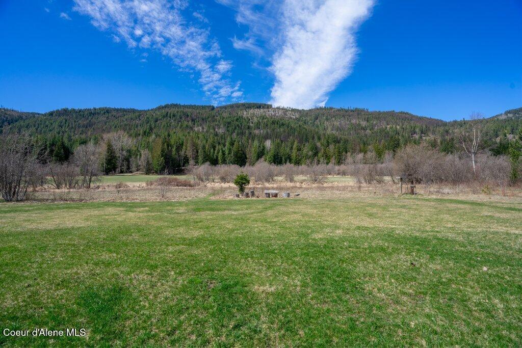 80 Carlson Drive Sandpoint, ID 83864 - Photo 3 of 50 Backyard