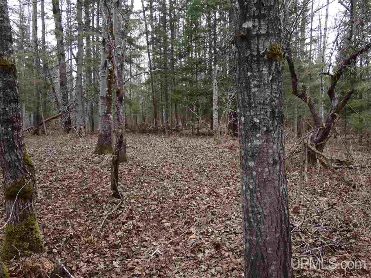 Tbd Dogpatch Road, Unit LOT I Lanse, MI 49946 - Photo 4 of 25