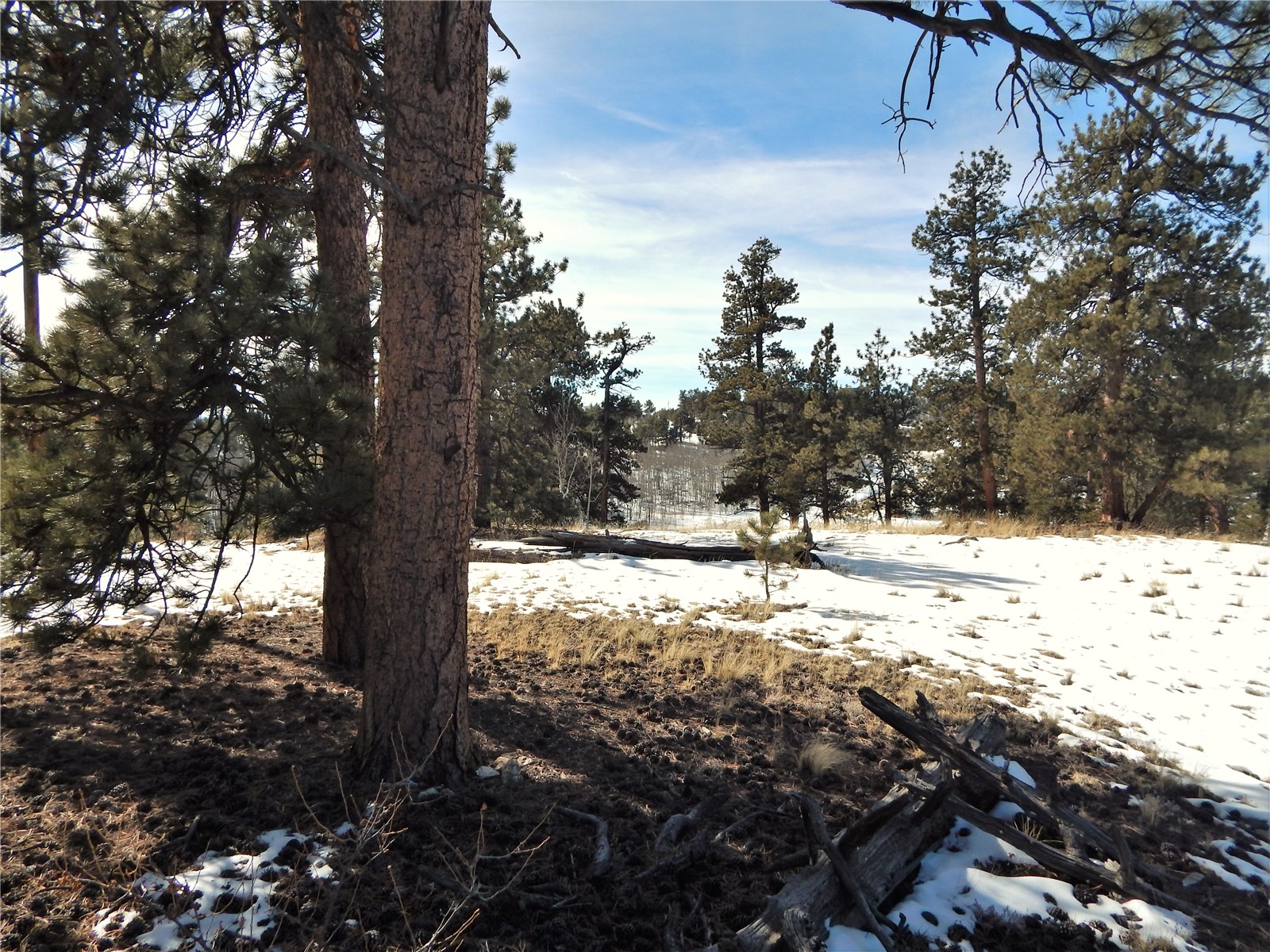 2126 Yellowstone Road Hartsel, CO 80449 - Photo 1 of 15 Gallery Image 1