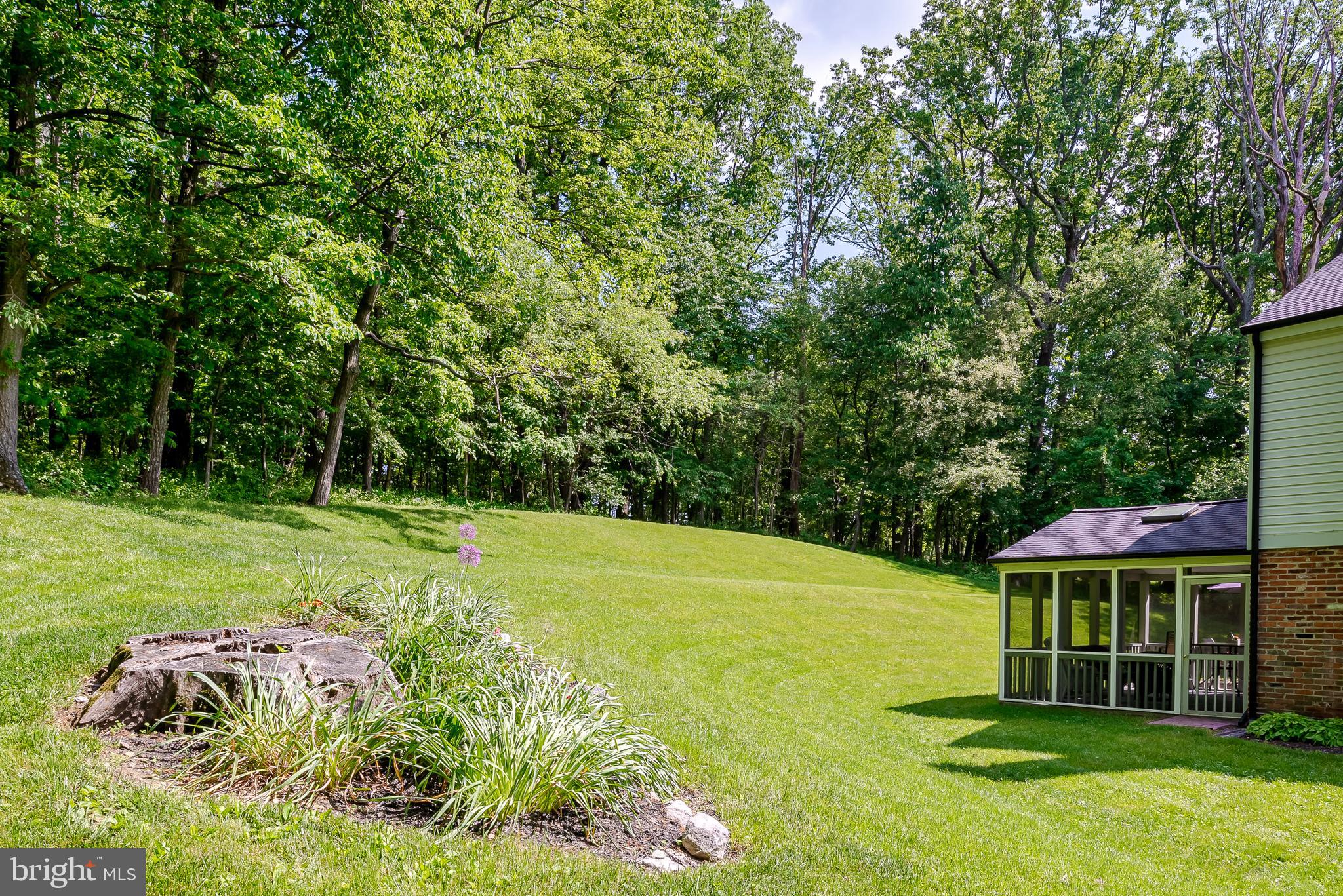 6111 Cabbage Spring Road Mount Airy, MD 21771 - Photo 43 of 48 Back Yard