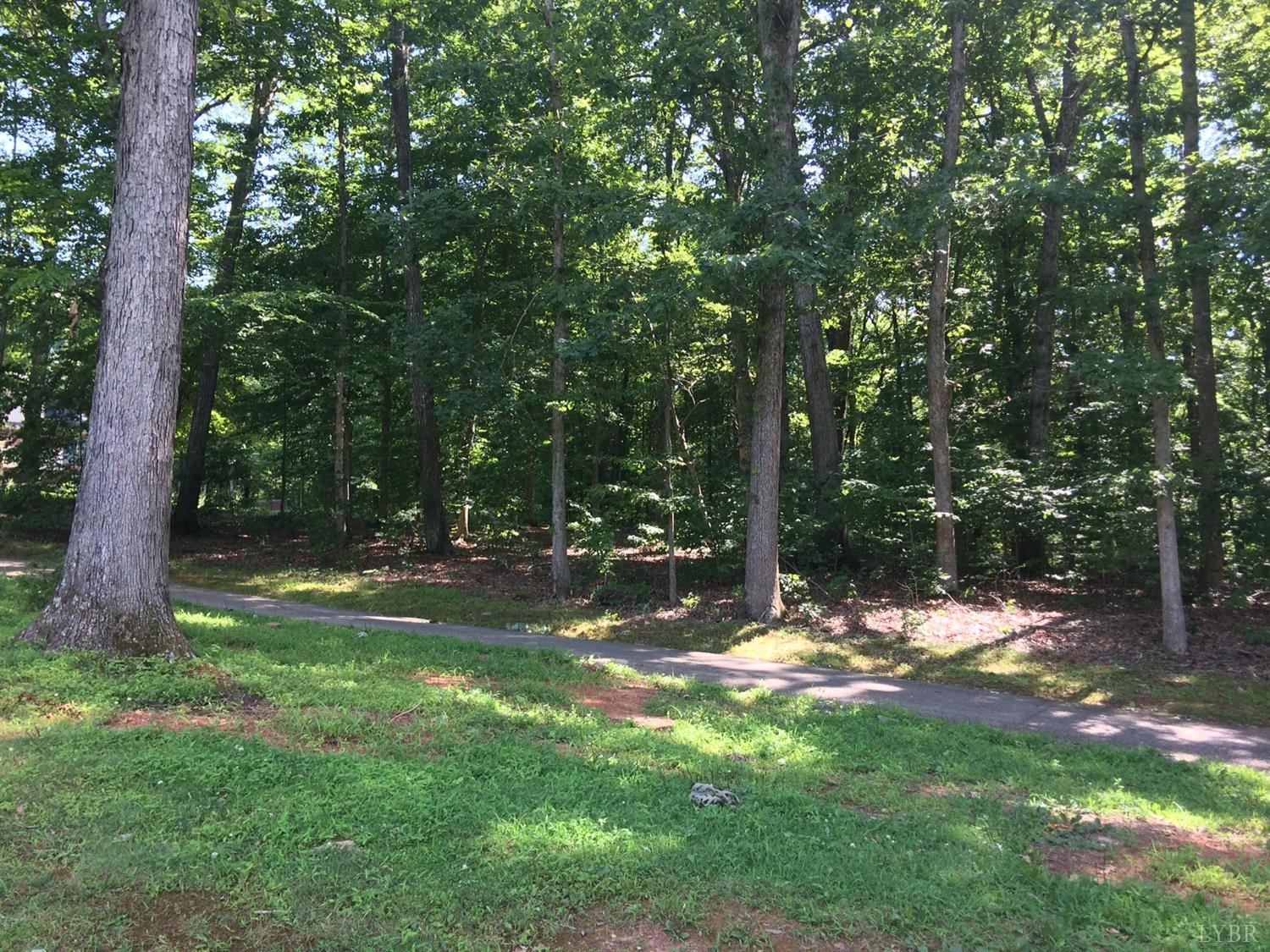 107 Golf Course Trail Amherst, VA 24521 - Photo 3 of 9 Lot 107