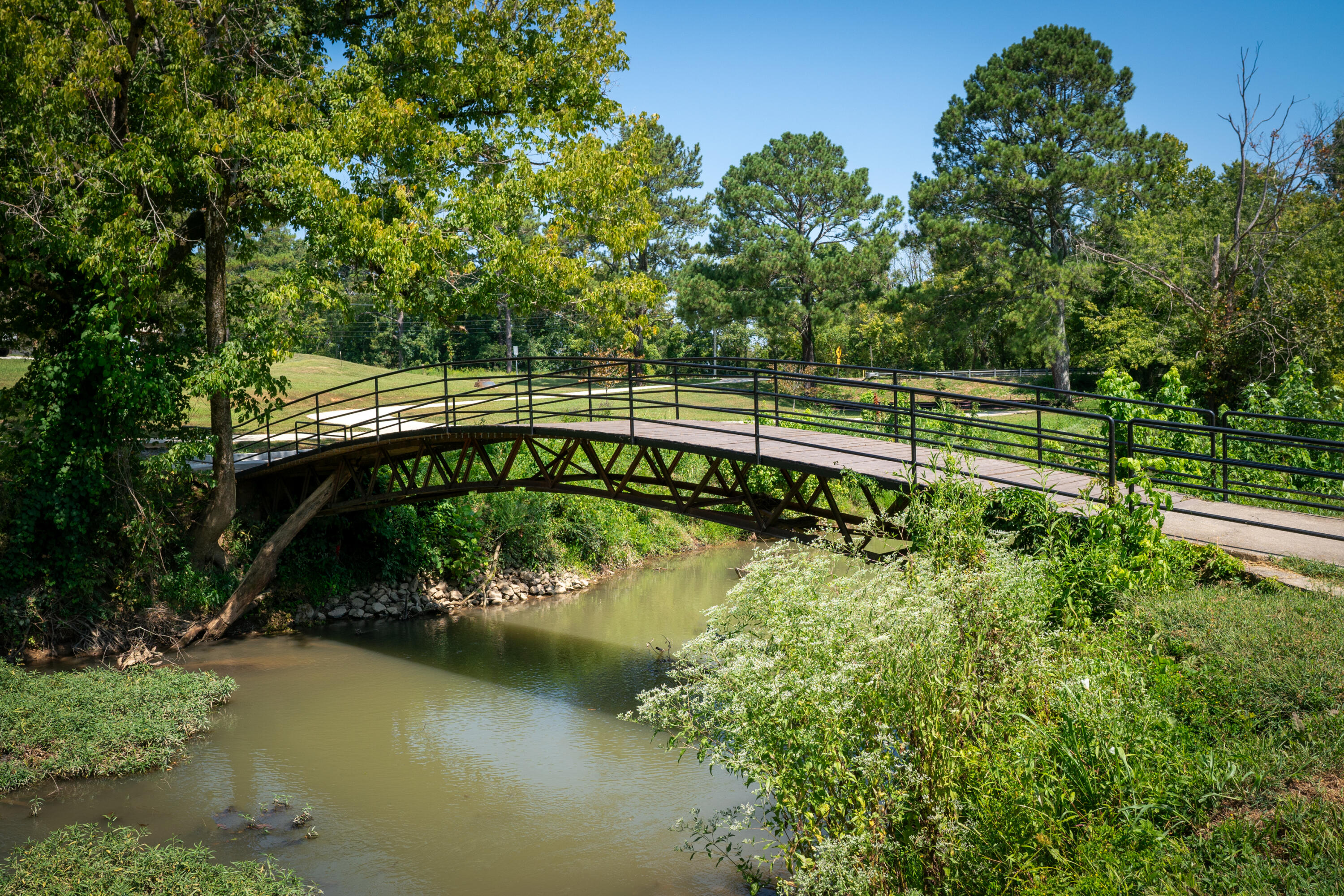 2500 Inverness Drive Cleveland, TN 37312 - Photo 56 of 57 _DSC9941-Edit - Copy