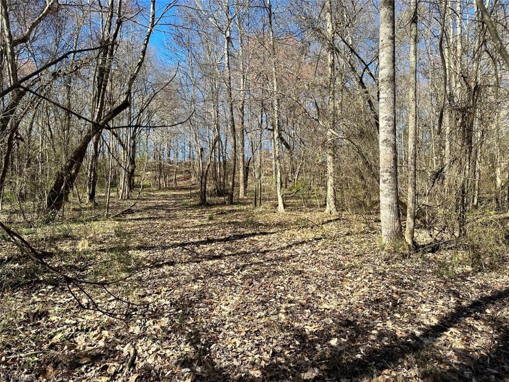 0 Sandy Springs Road Yadkinville, NC 27055 - Photo 3 of 7 Gallery Image 3
