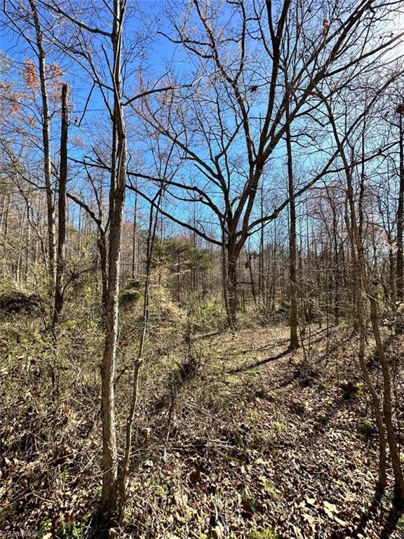 0 Sandy Springs Road Yadkinville, NC 27055 - Photo 4 of 7 Gallery Image 4