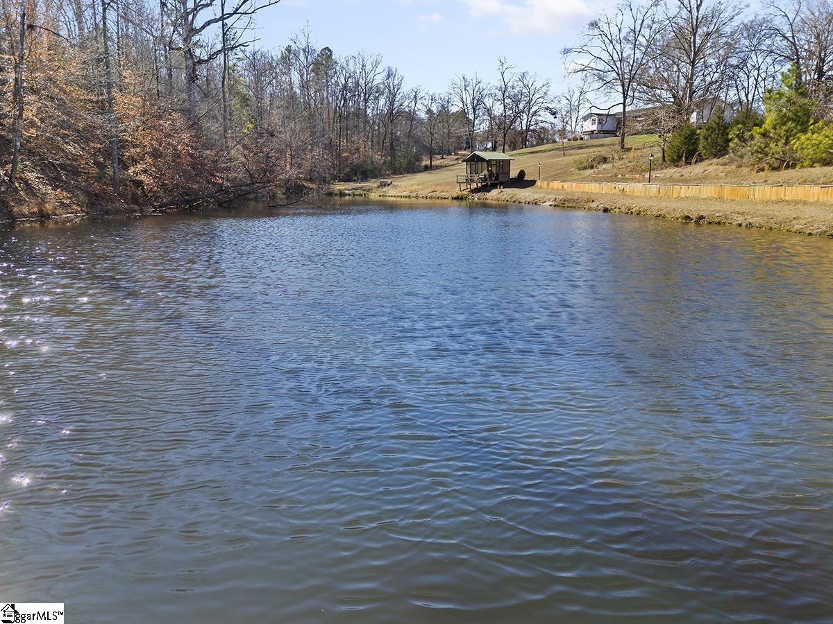 7905 Indian Mound Road Waterloo, SC 29384 - Photo 22 of 28