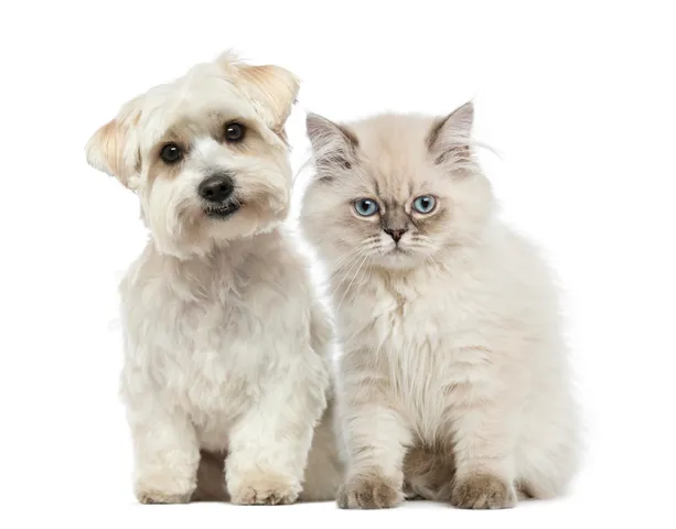 $1,983 | 409 Elm Street, Unit 502, Manchester, NH 03101