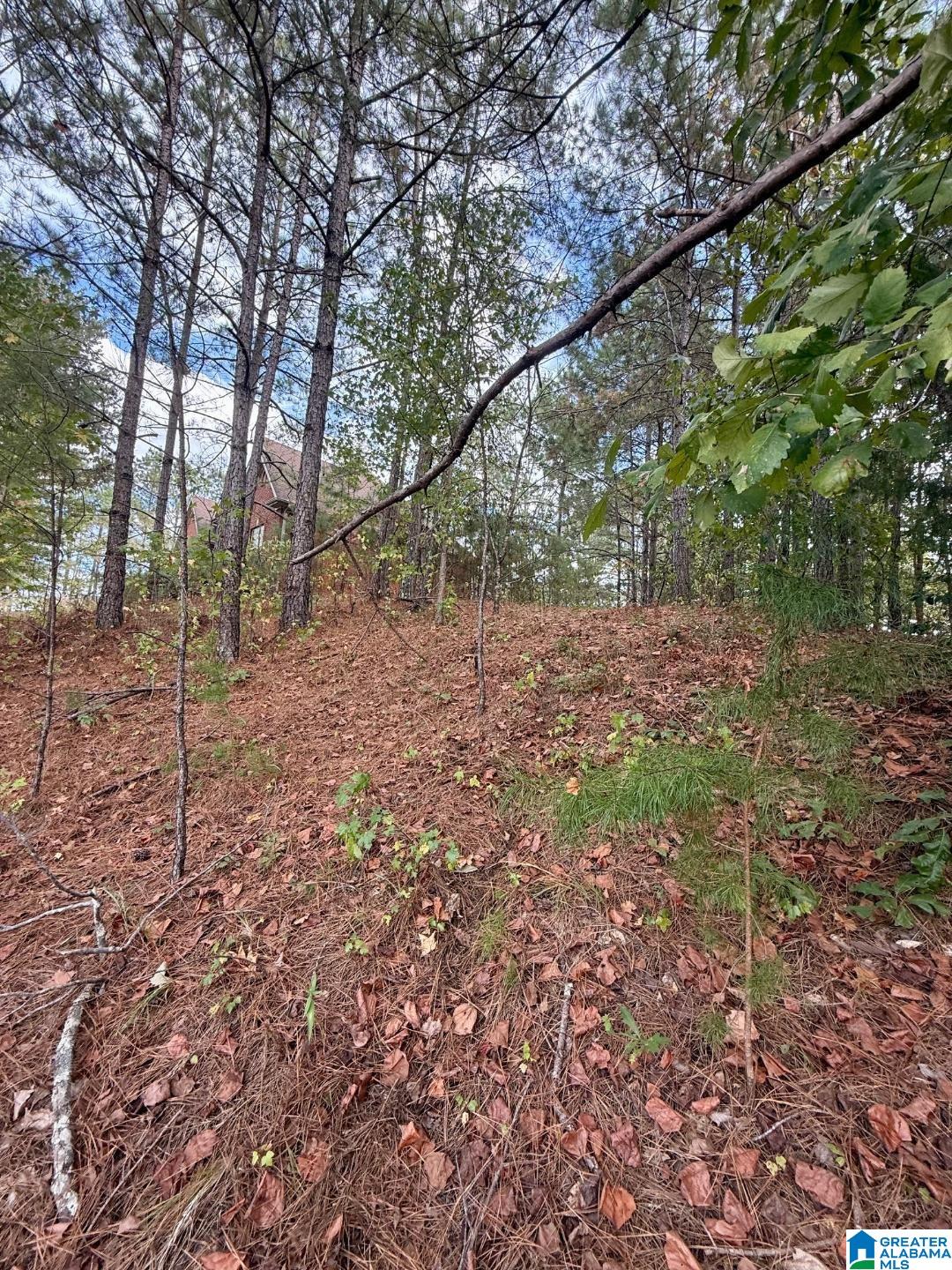 325 Deer Ridge Lane, Unit 29 Chelsea, AL 35043 - Photo 5 of 17