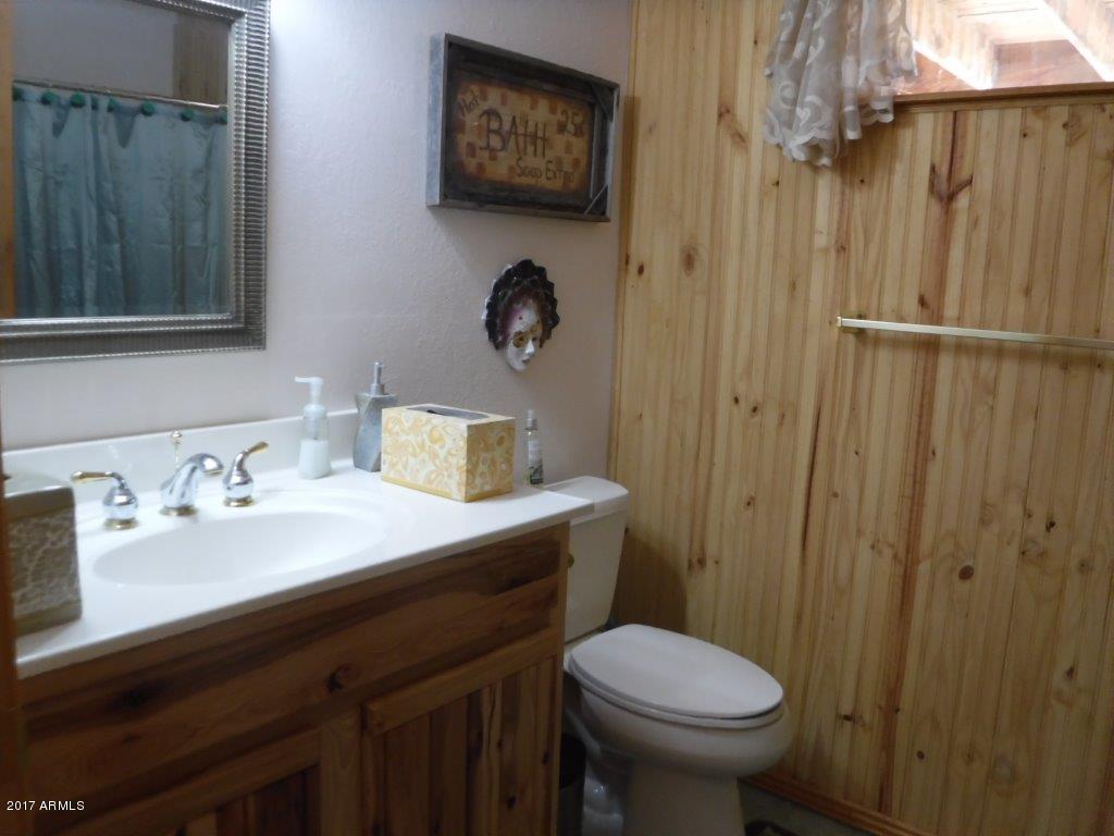 2954 Ranch House Road Overgaard, AZ 85933 - Photo 42 of 59 DSCF1134