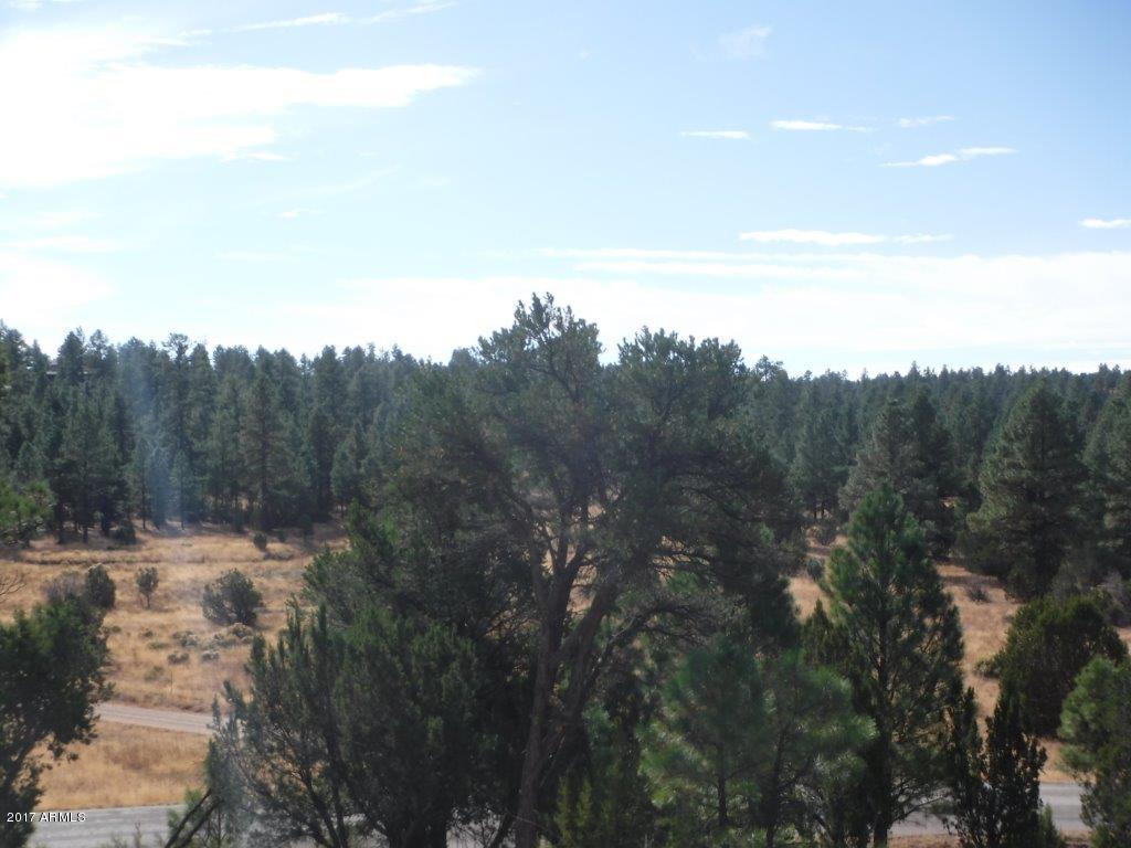 2954 Ranch House Road Overgaard, AZ 85933 - Photo 56 of 59 DSCF1081