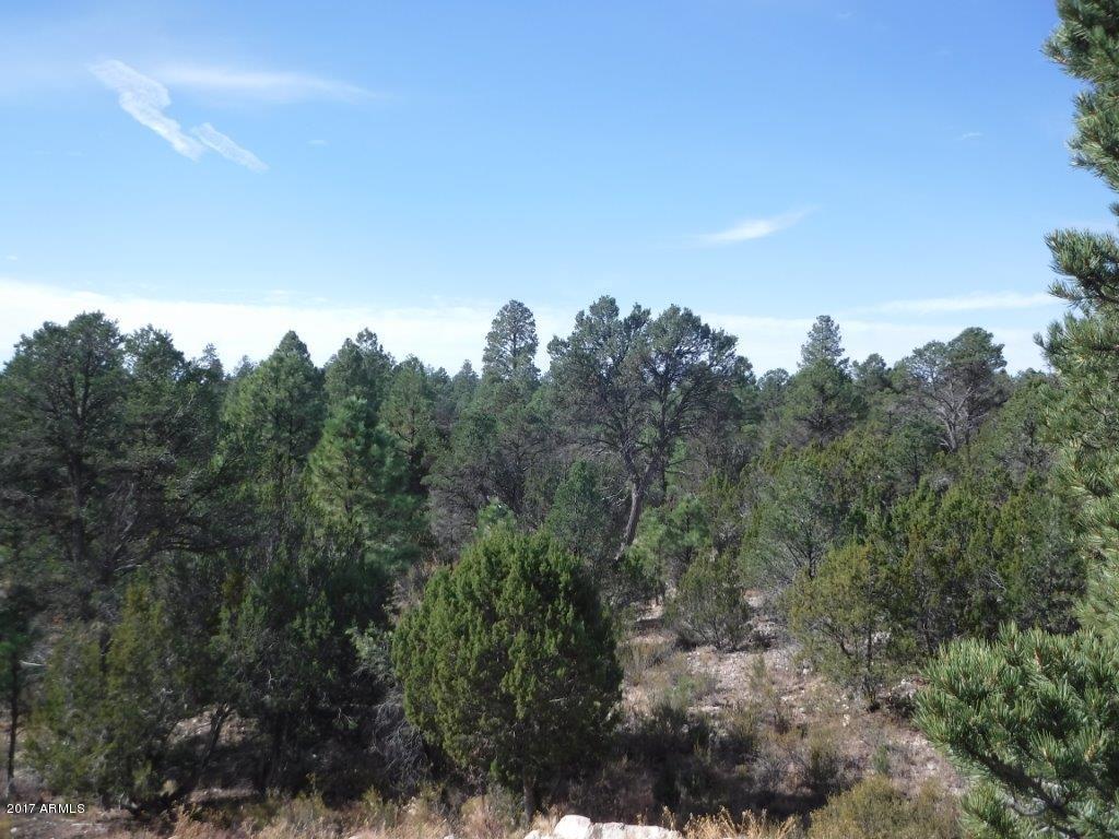 2954 Ranch House Road Overgaard, AZ 85933 - Photo 6 of 59 DSCF1088