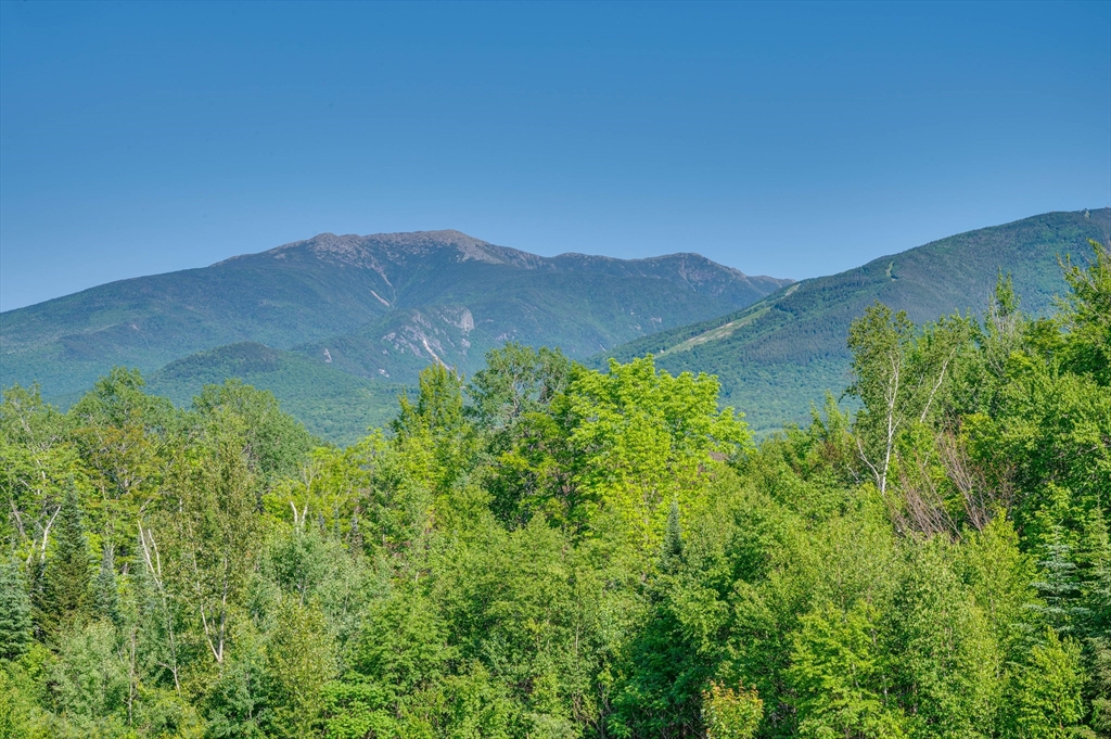 181 Toad Hill Road Franconia, NH 03580 - Photo 5 of 36 Gallery Image 5