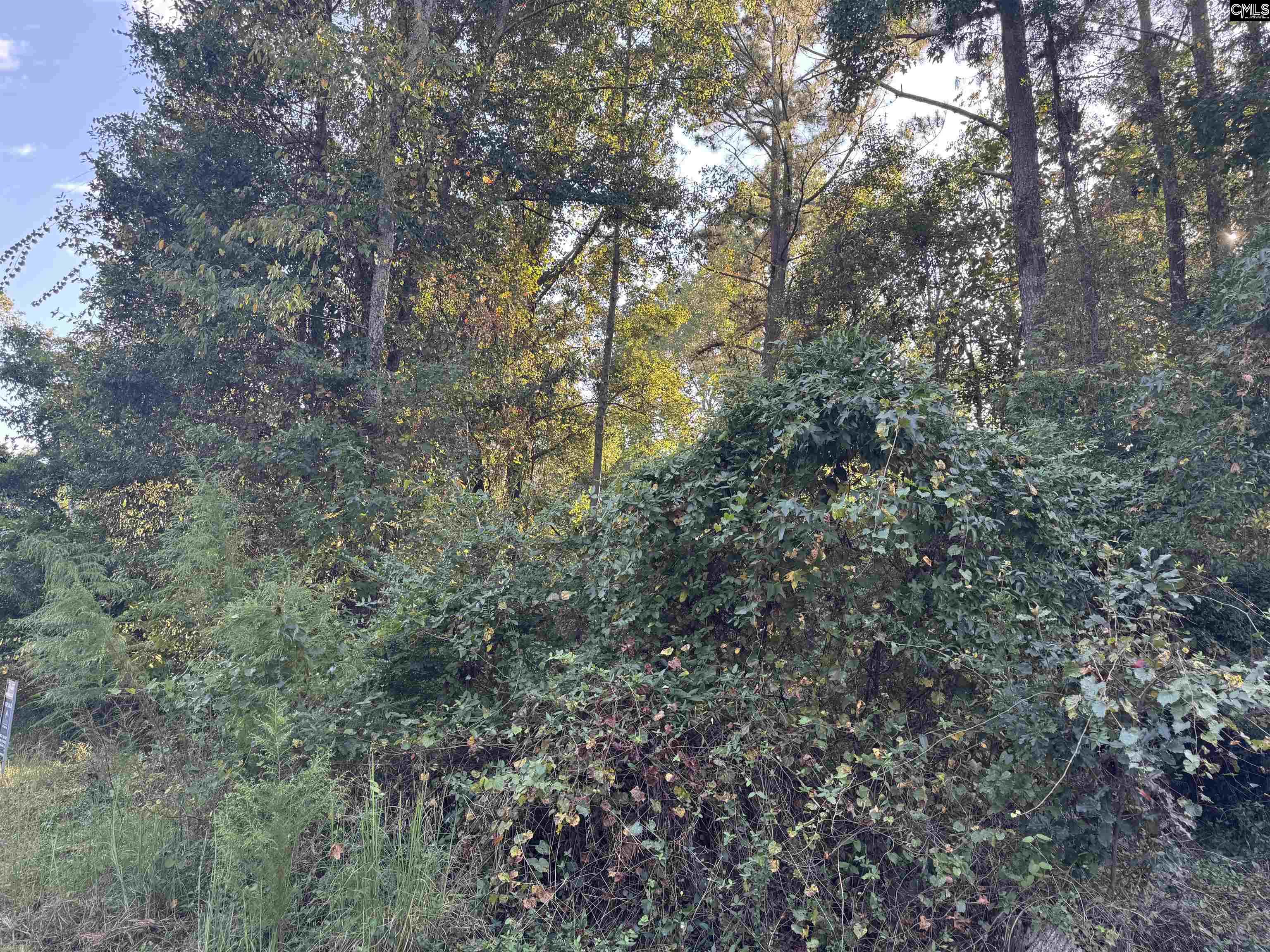 0 Quattlebaum Avenue Ridge Spring, SC 29129 - Photo 4 of 9