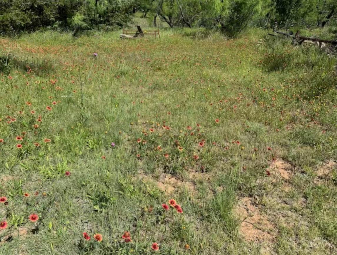 9 Mesquite Loop Roaring Springs, TX 79256 - Photo 20 of 22 a view of a yard with a tree