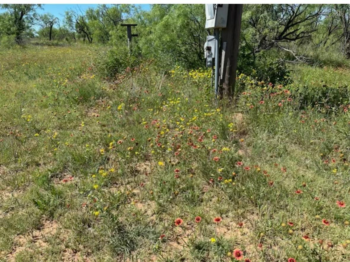 9 Mesquite Loop Roaring Springs, TX 79256 - Photo 21 of 22 a view of a lush green forest next to a yard