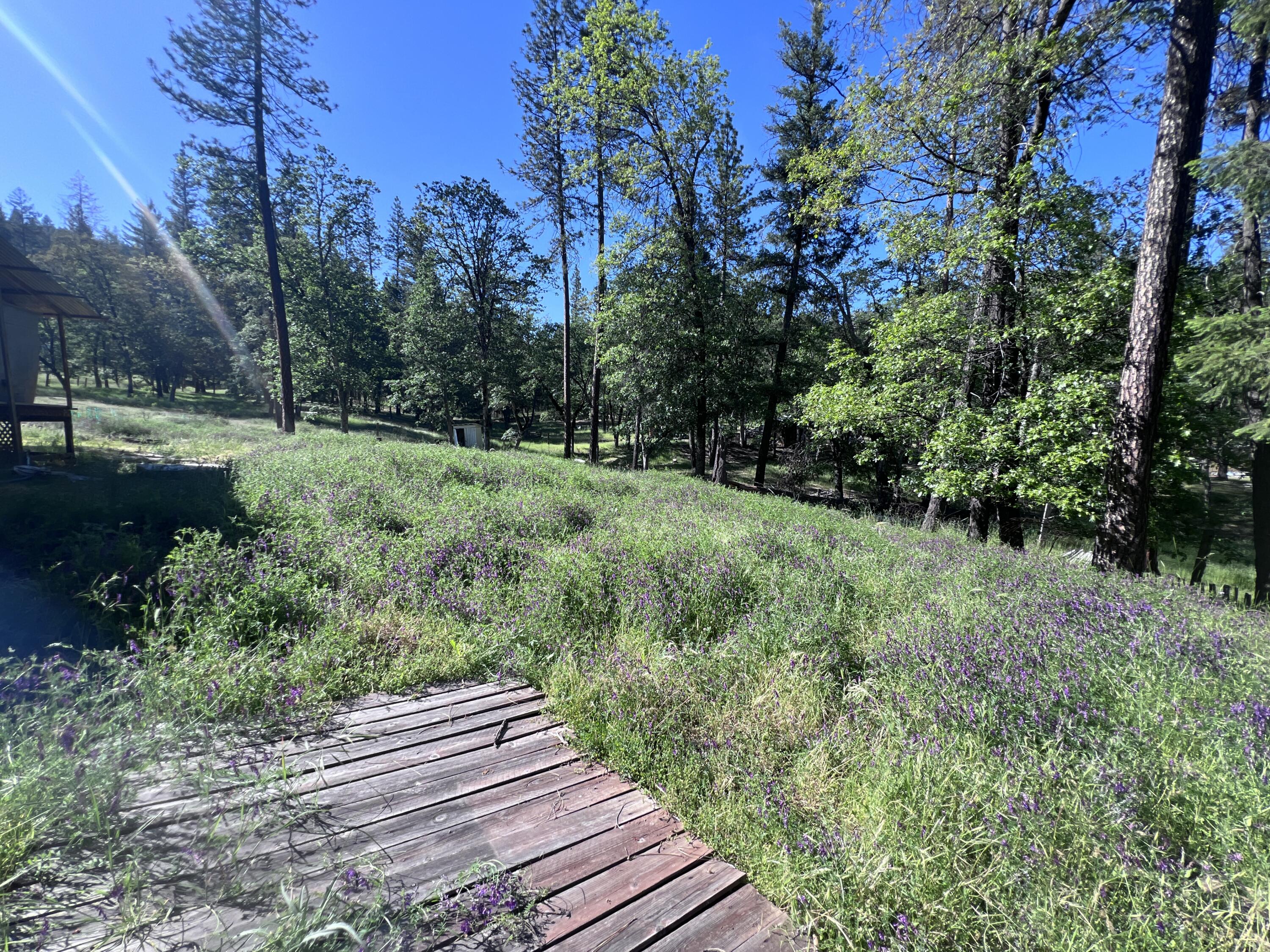 1411 Mc Alexander Road Hayfork, CA 96041 - Photo 17 of 38 Land