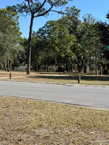 a view of a yard with palm trees