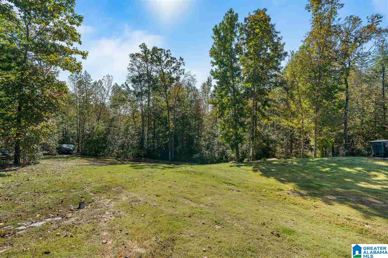 2500 Chelsea Way Warrior, AL 35180 - Photo 25 of 27