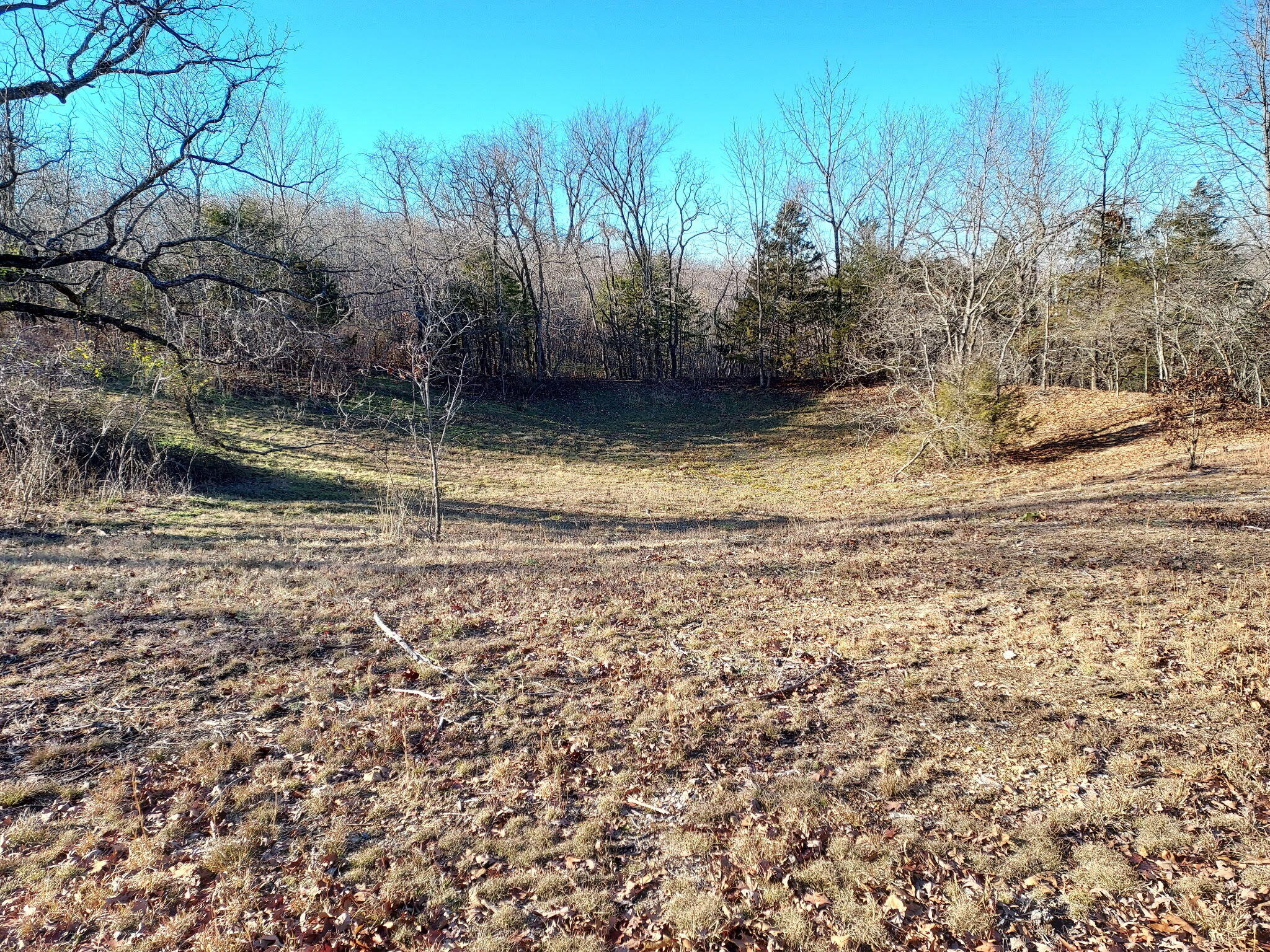 9015 Stallion Bluff Road Shell Knob, MO 65747 - Photo 24 of 49 4810bc