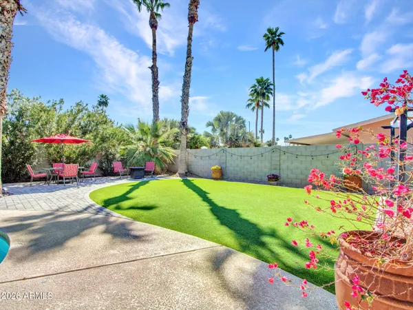 a view of a backyard with palm trees