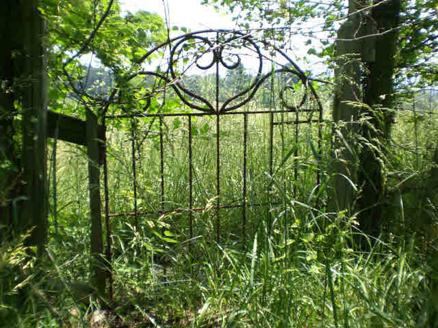 3051 River Road New Market, VA 22844 - Photo 5 of 7 a backyard of a house with lots of green space