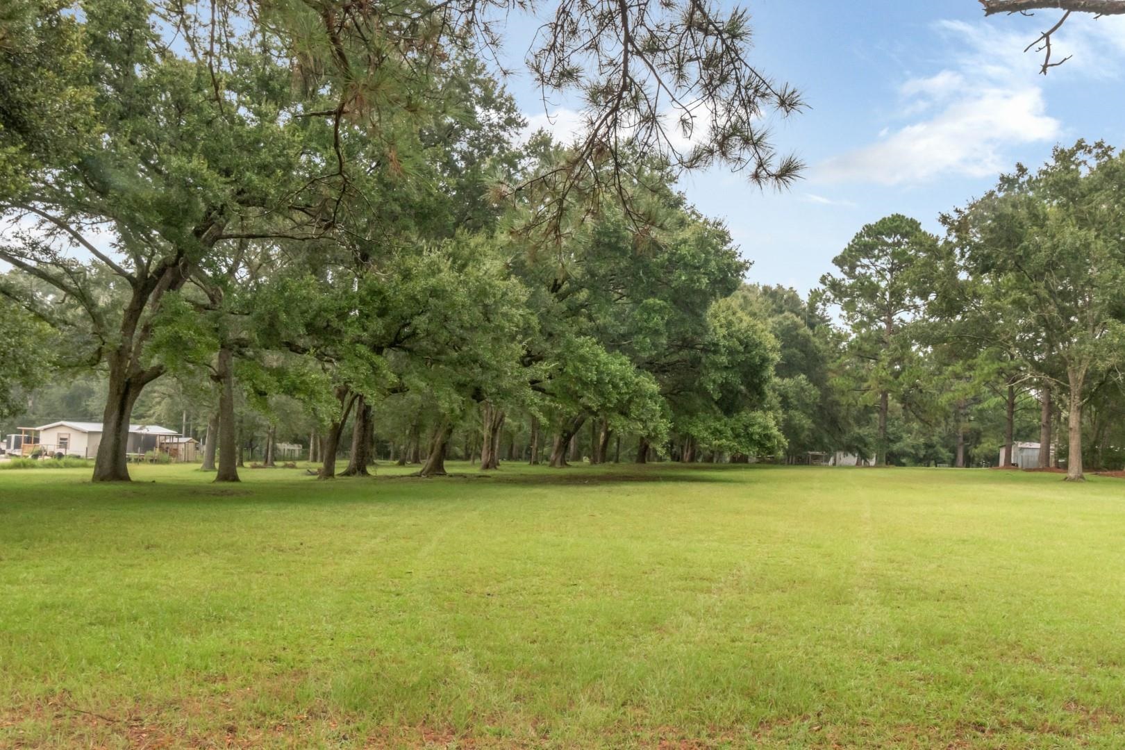 19108 Rada Road Silverhill, AL 36576 - Photo 3 of 11 Yard