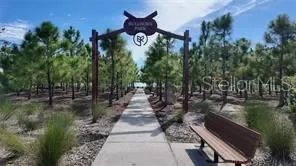 a view of a back yard