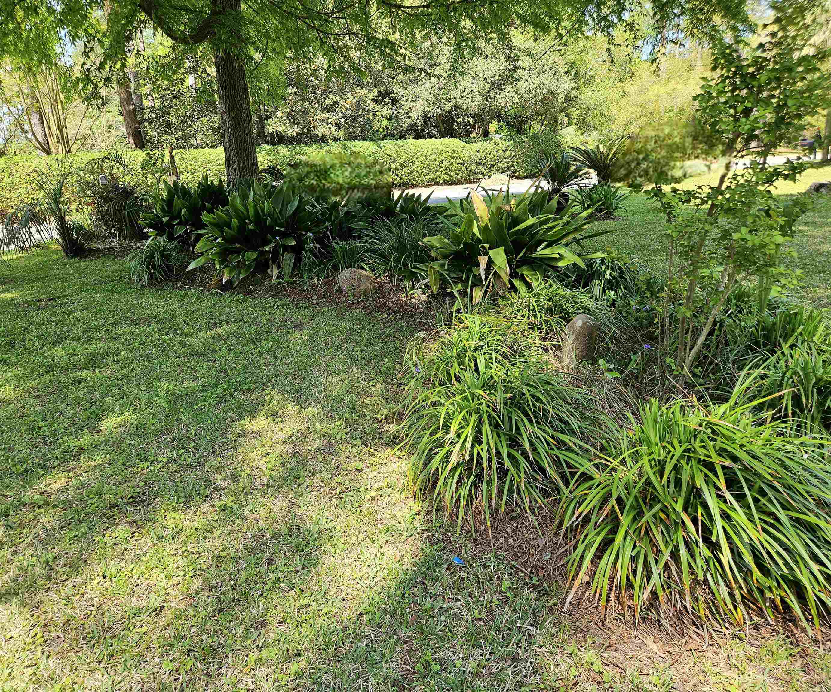 102 Sandra Street Thomasville, GA 31792 - Photo 66 of 67
