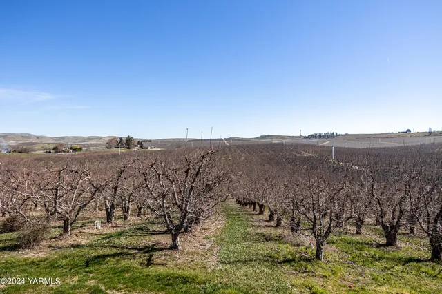 a view of lake with mountain