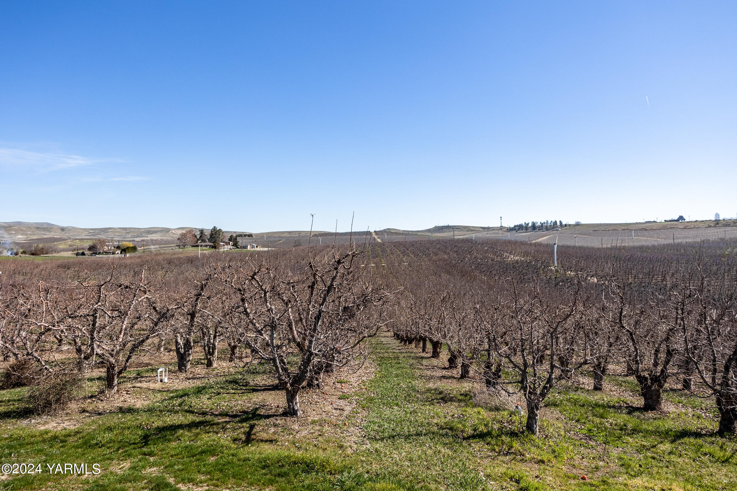a view of lake with mountain