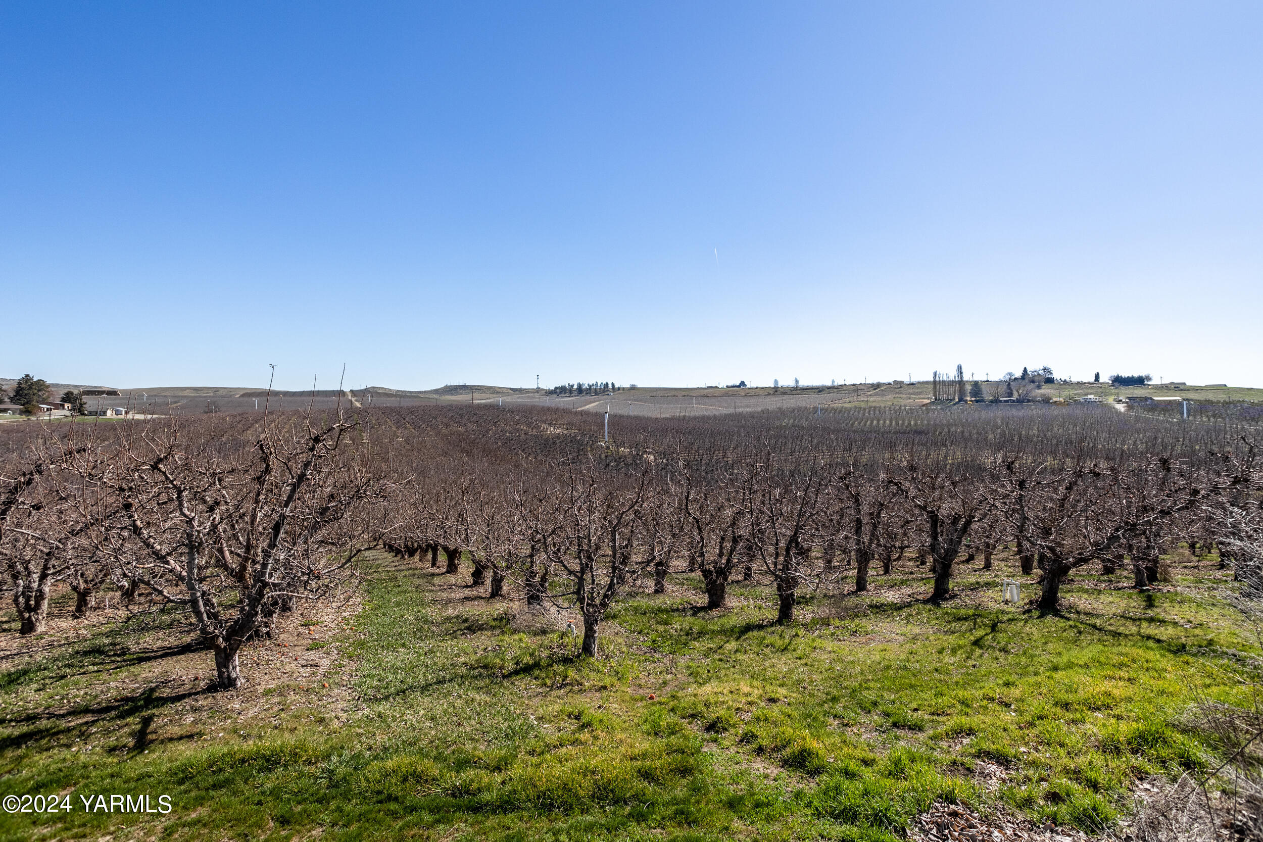 4851 Lombard Loop Road Zillah, WA 98953 - Photo 14 of 42 a view of a town with mountains in the background