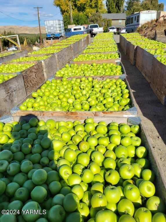 4851 Lombard Loop Road Zillah, WA 98953 - Photo 2 of 42 a view of a swimming pool with an outdoor space
