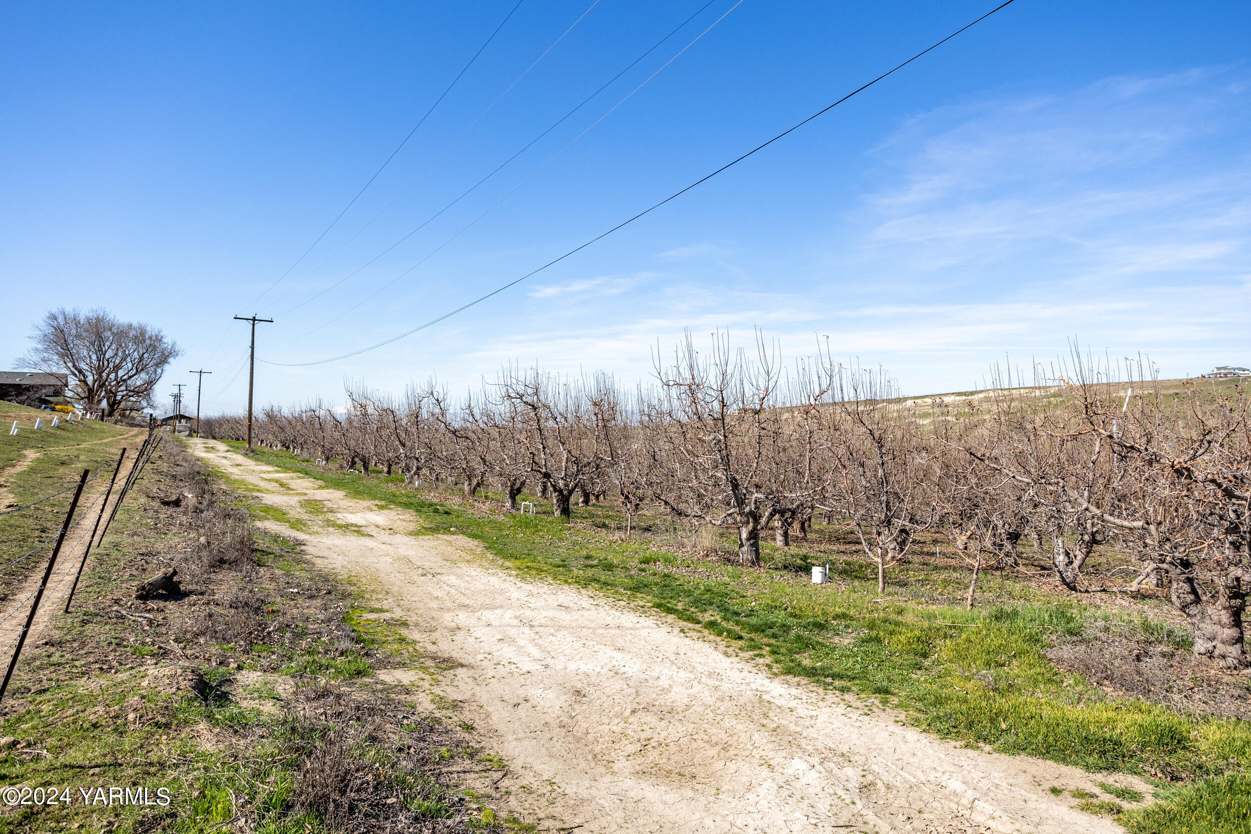 4851 Lombard Loop Road Zillah, WA 98953 - Photo 24 of 42 a view of a field