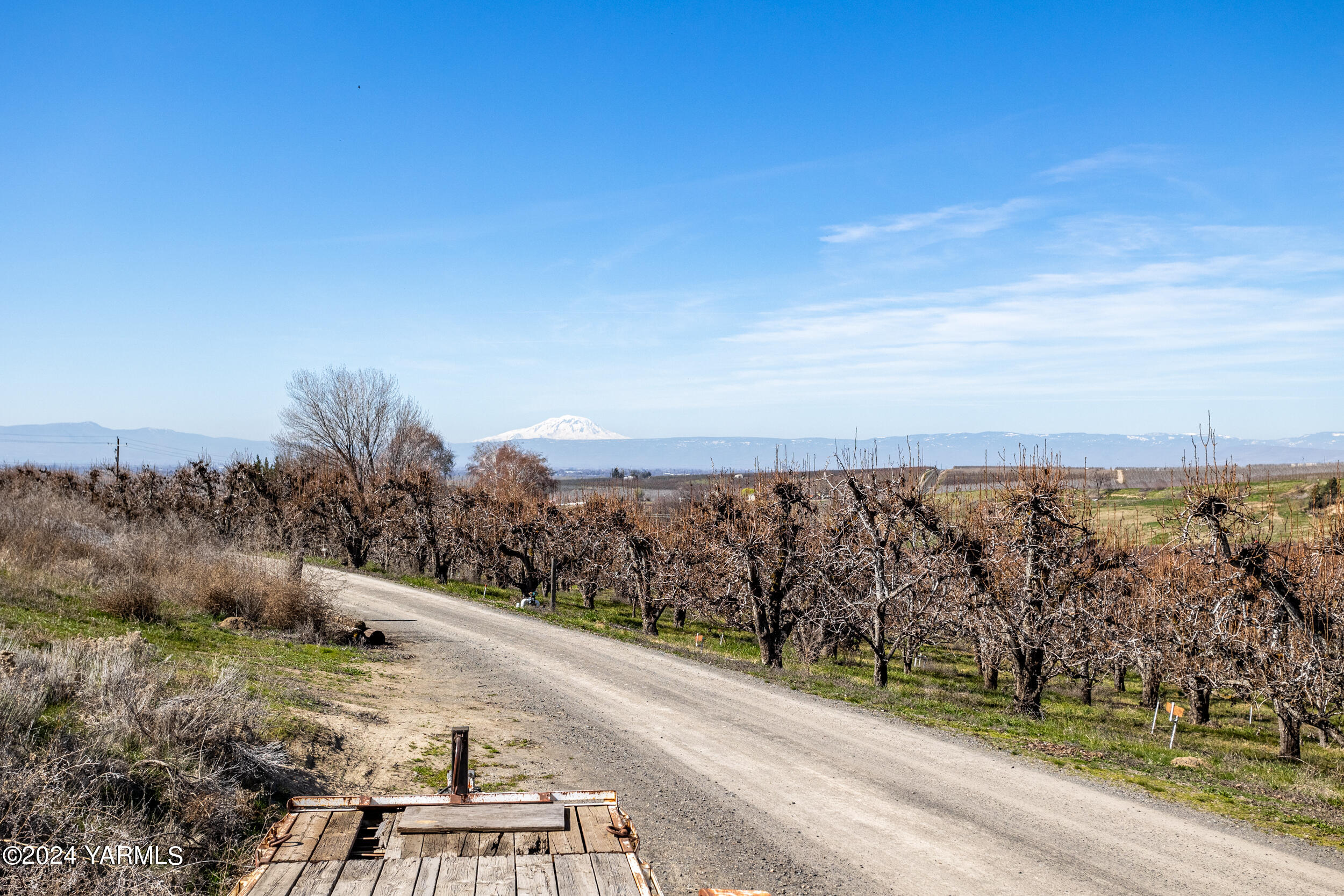4851 Lombard Loop Road Zillah, WA 98953 - Photo 26 of 42 a view of a yard with an ocean view