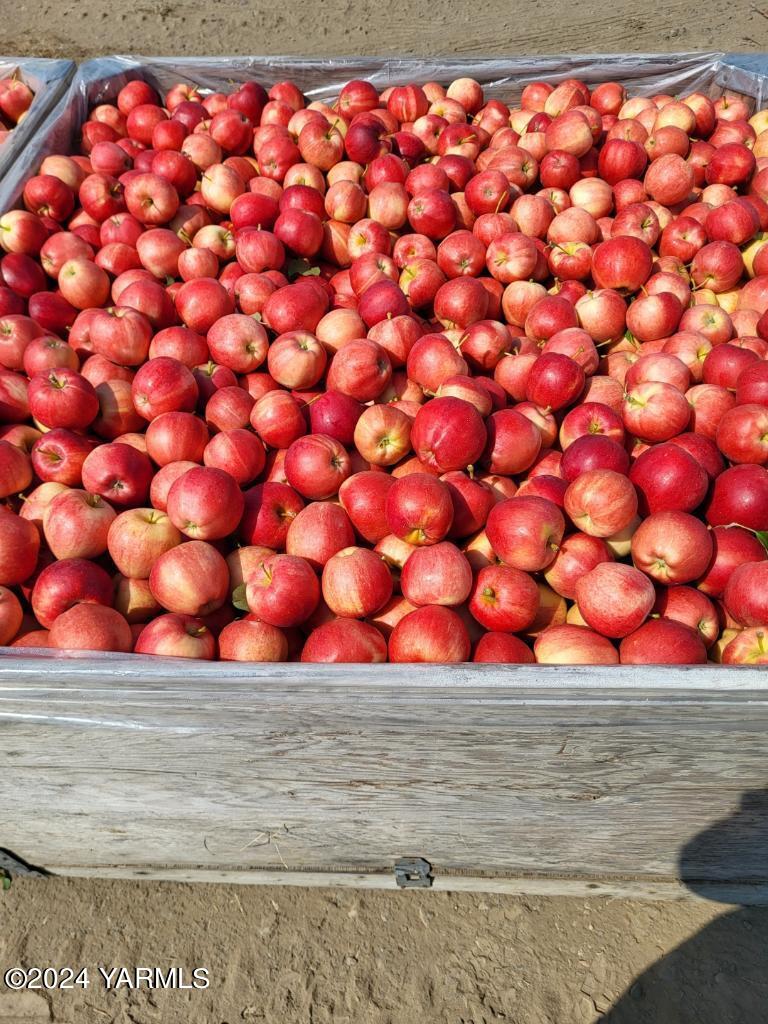 4851 Lombard Loop Road Zillah, WA 98953 - Photo 3 of 42 a view of window