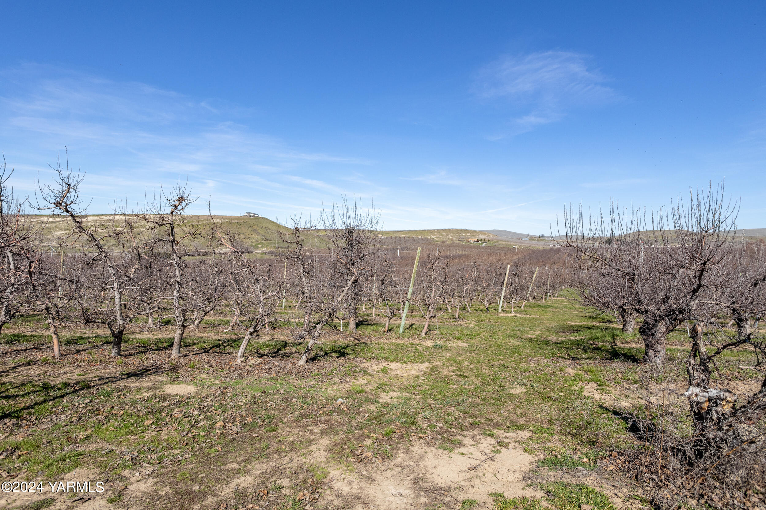 4851 Lombard Loop Road Zillah, WA 98953 - Photo 31 of 42 a view of a outdoor space