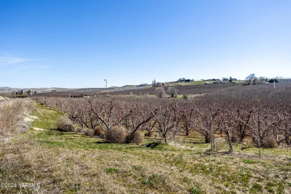 a view of a field with trees in the background